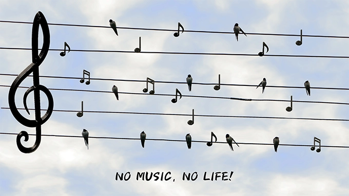 NO MUSIC, NO LIFE！