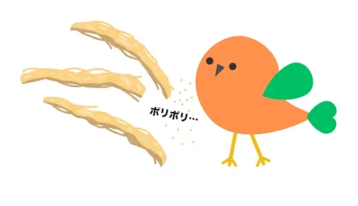 コガネメキシコインコの性格？かじるの大好き！破壊王！？