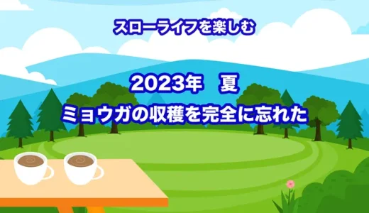 【失敗体験】ミョウガ 収穫 時期 2023年夏の収穫を完全に忘れた！【スローライフを楽しむ】